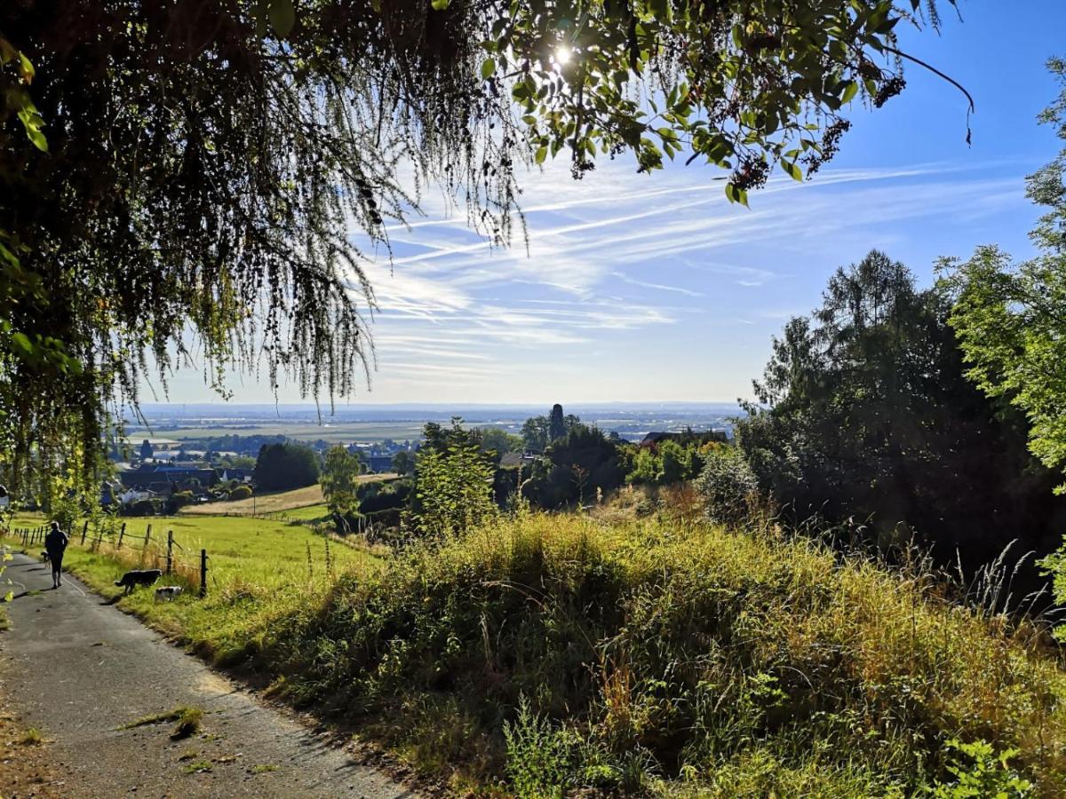 Appartamento Haus Am Roesberg Bornheim  Esterno foto